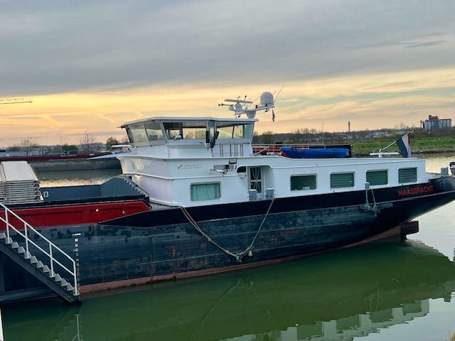 Dragon Fly — thumbnail 5